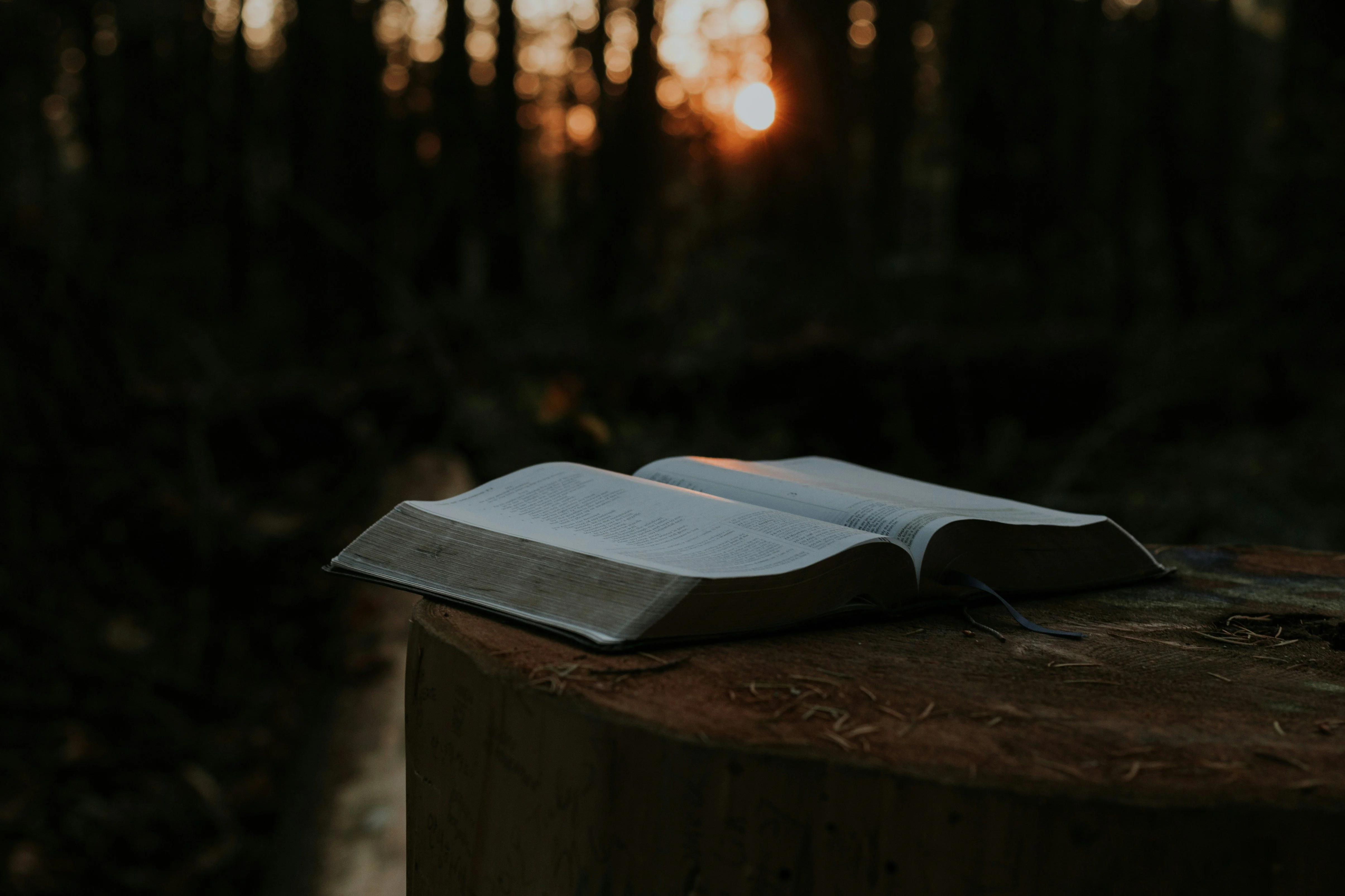 Your Story, Reborn